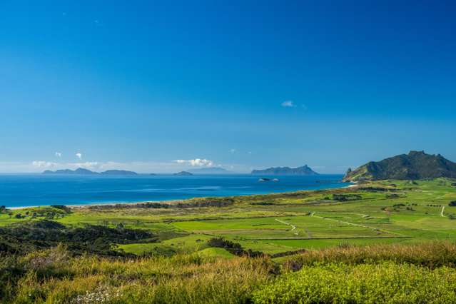 83 Rarangi Heights Parua Bay_4