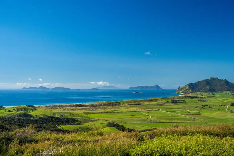 83 Rarangi Heights_4