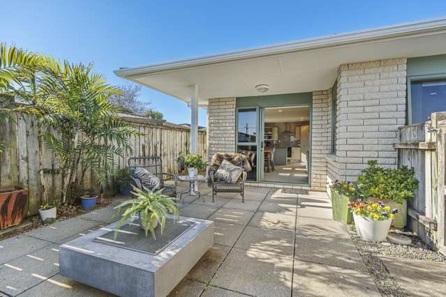 153A Carrington Street Vogeltown_2