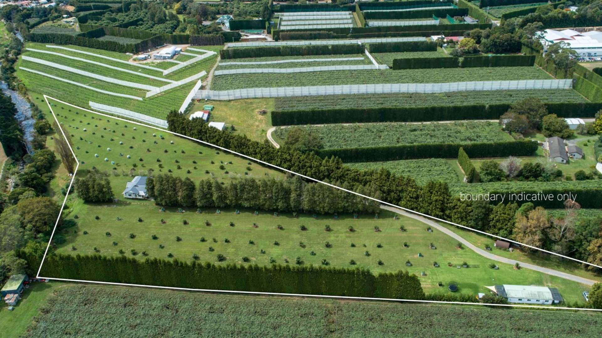 72 Rea Road Katikati_0