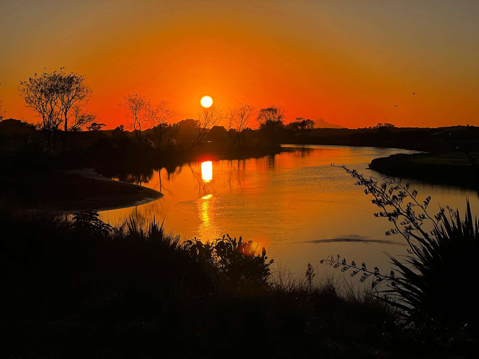 33 Three Rivers Lane Waipu_0