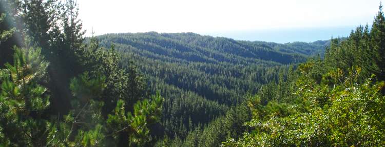 1068 Otaki Gorge Road Otaki_13