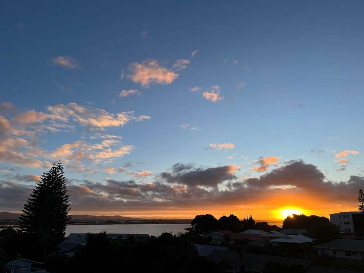 105 Walker Road Point Chevalier_16