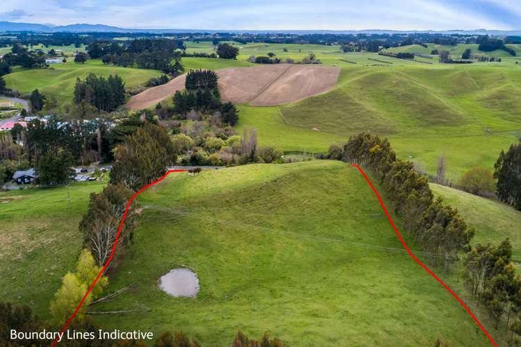 48 Norsewood Ormondville Road Norsewood_10