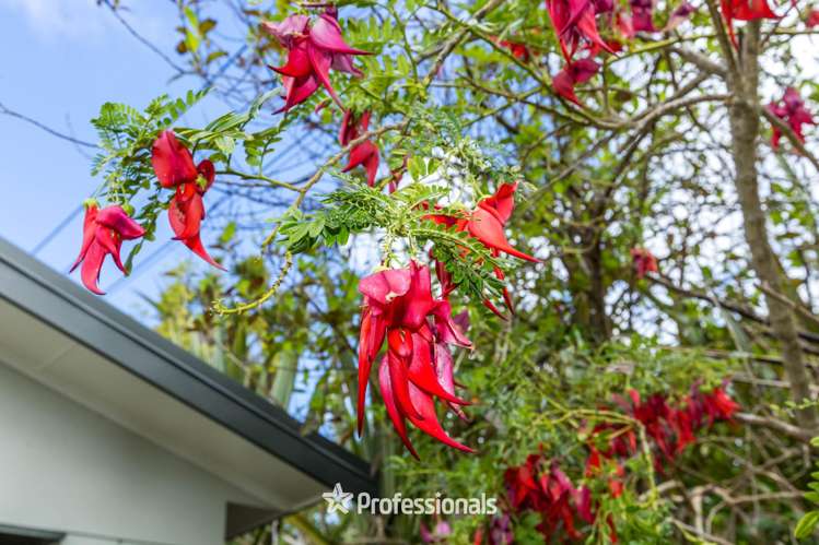 14 Prouse Grove Silverstream_22