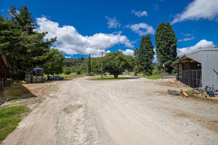 1153 Shenandoah Highway Murchison_11