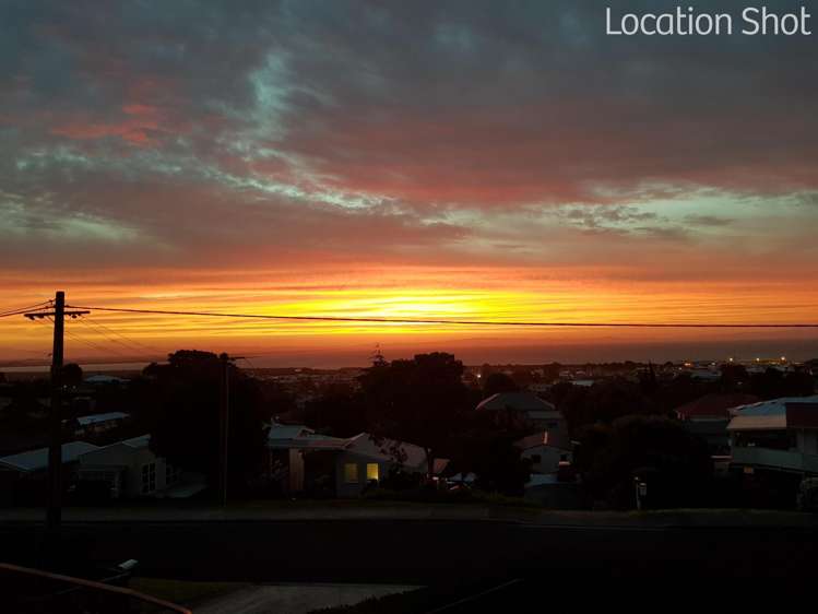 306 Hill Street Thames_32