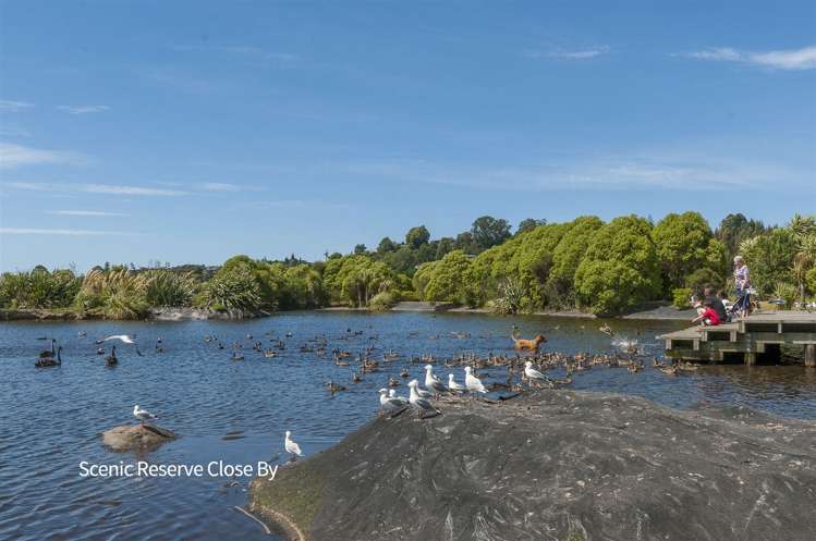 87 Hawkridge Heights Bethlehem_24