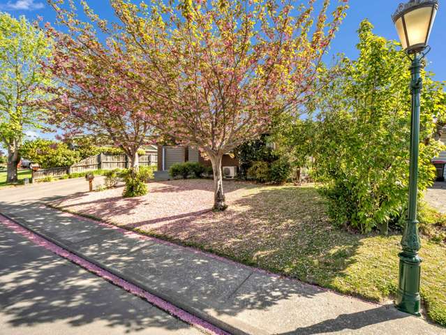 213A White Street Rangiora_4