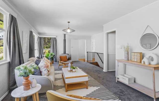 58 Miramar North Road Miramar_3