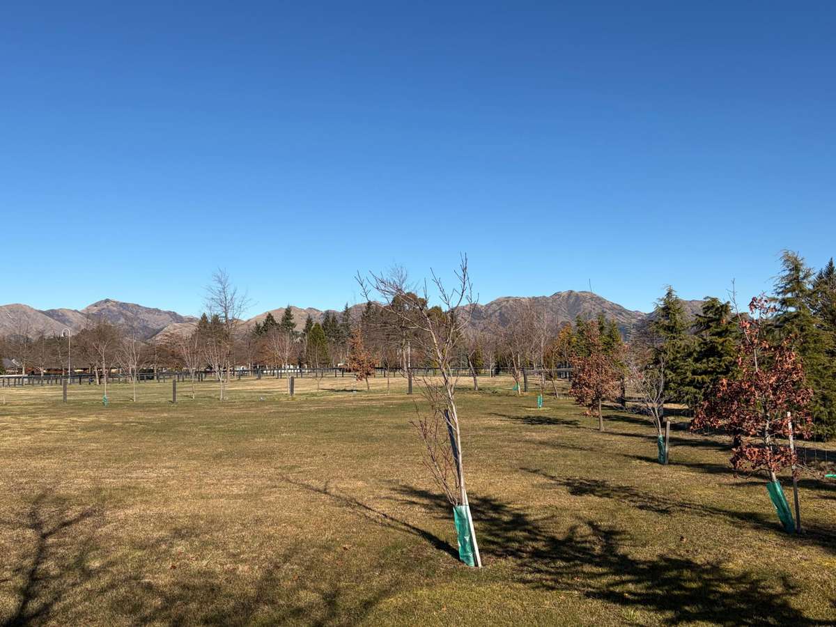 48 Lochiel Drive_4
