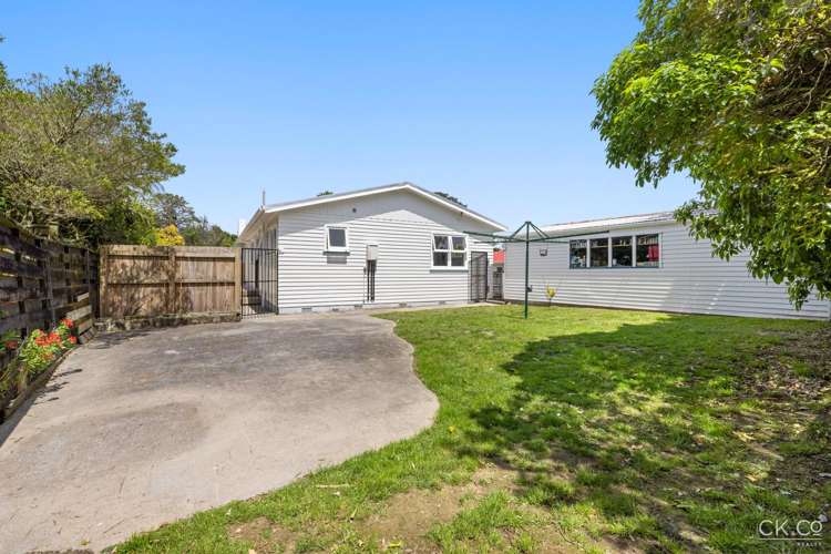 13 Kahikatea Lane Brown Owl_20