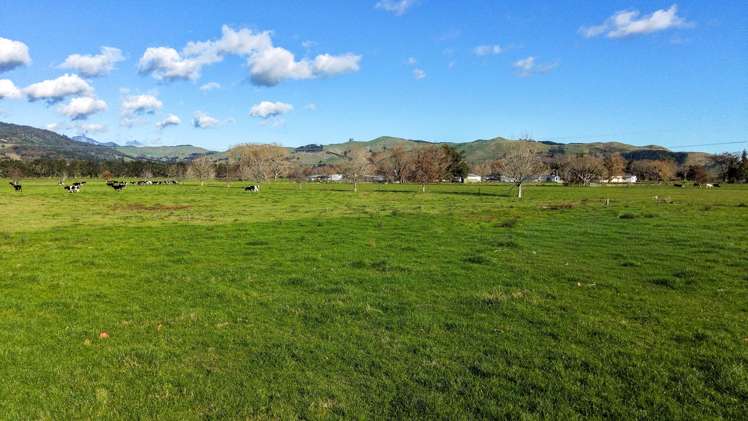 64a Te Moananui Flats Road Paeroa_21