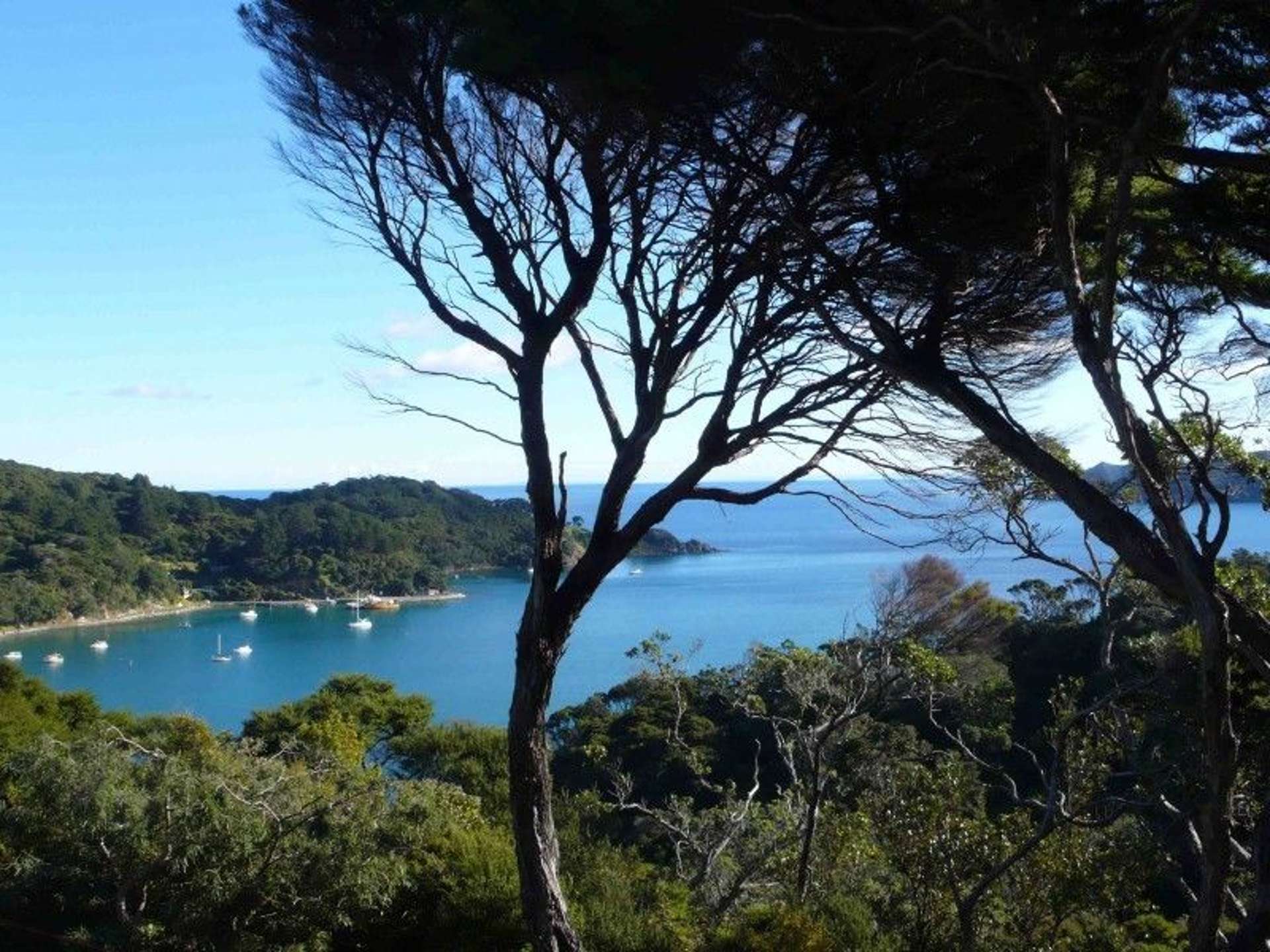 168 Shoal Bay Road Great Barrier Island (Aotea Island)_0