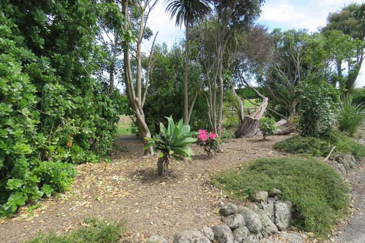 17 Hyland Place Waiuku_13