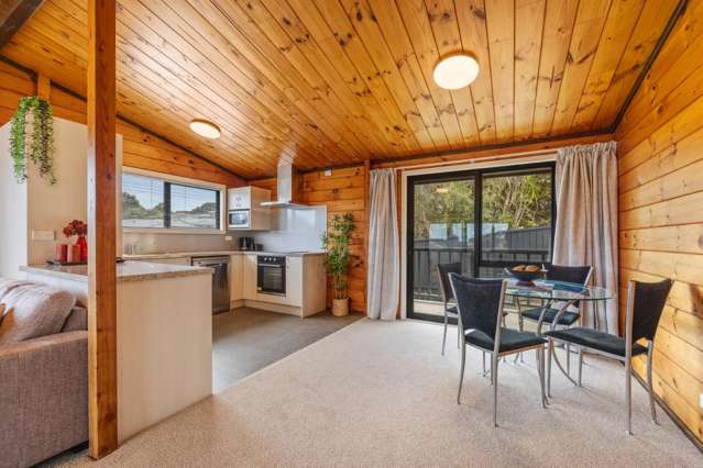 25 Herekawe Drive Spotswood_4