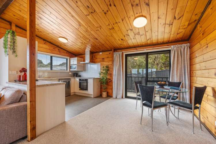 25 Herekawe Drive Spotswood_4