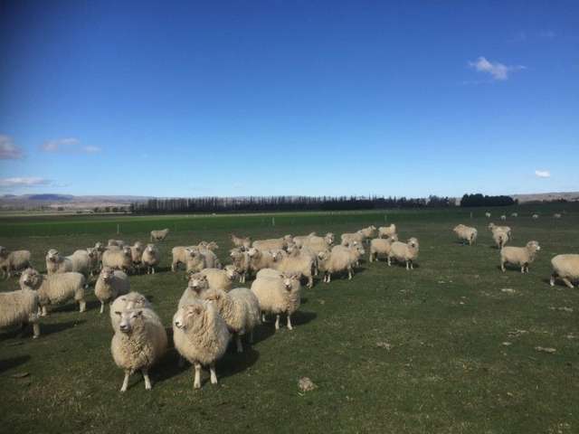 759 Gladbrook Road Middlemarch_2