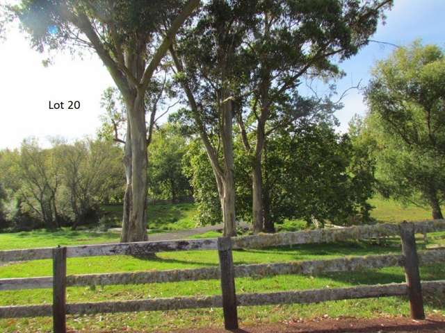 22 Plane Tree Lane Lane Ruatangata West_1