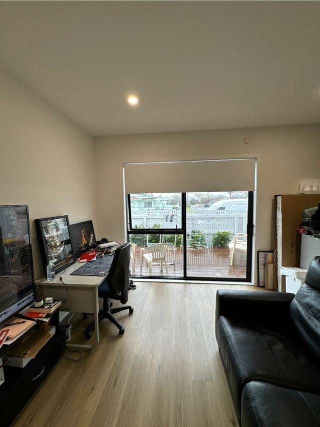 Grey Street Onehunga_2