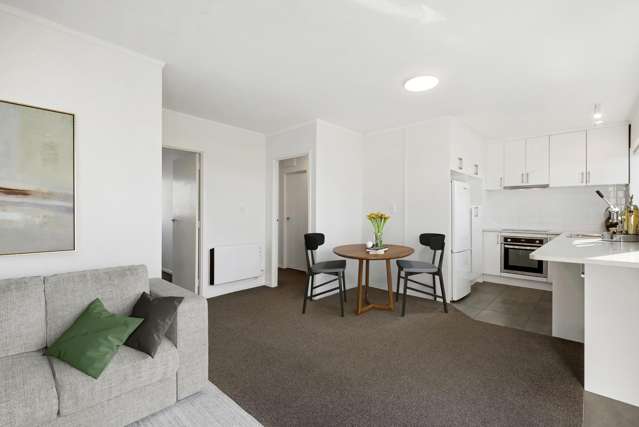 1E Caroline Street St Marys Bay_3