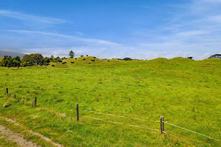 955 Opua Road Opunake_31