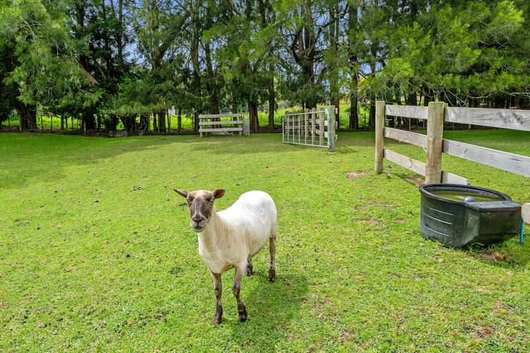 21 Mahoenui Valley Road Coatesville_28