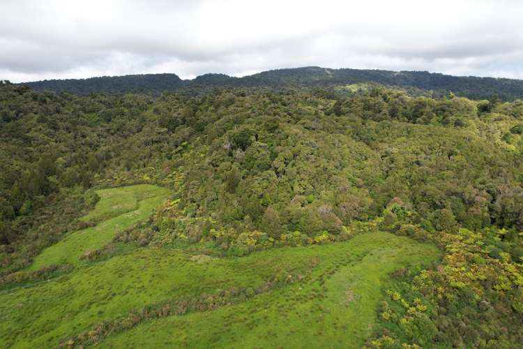 Marsden Road Greymouth_13