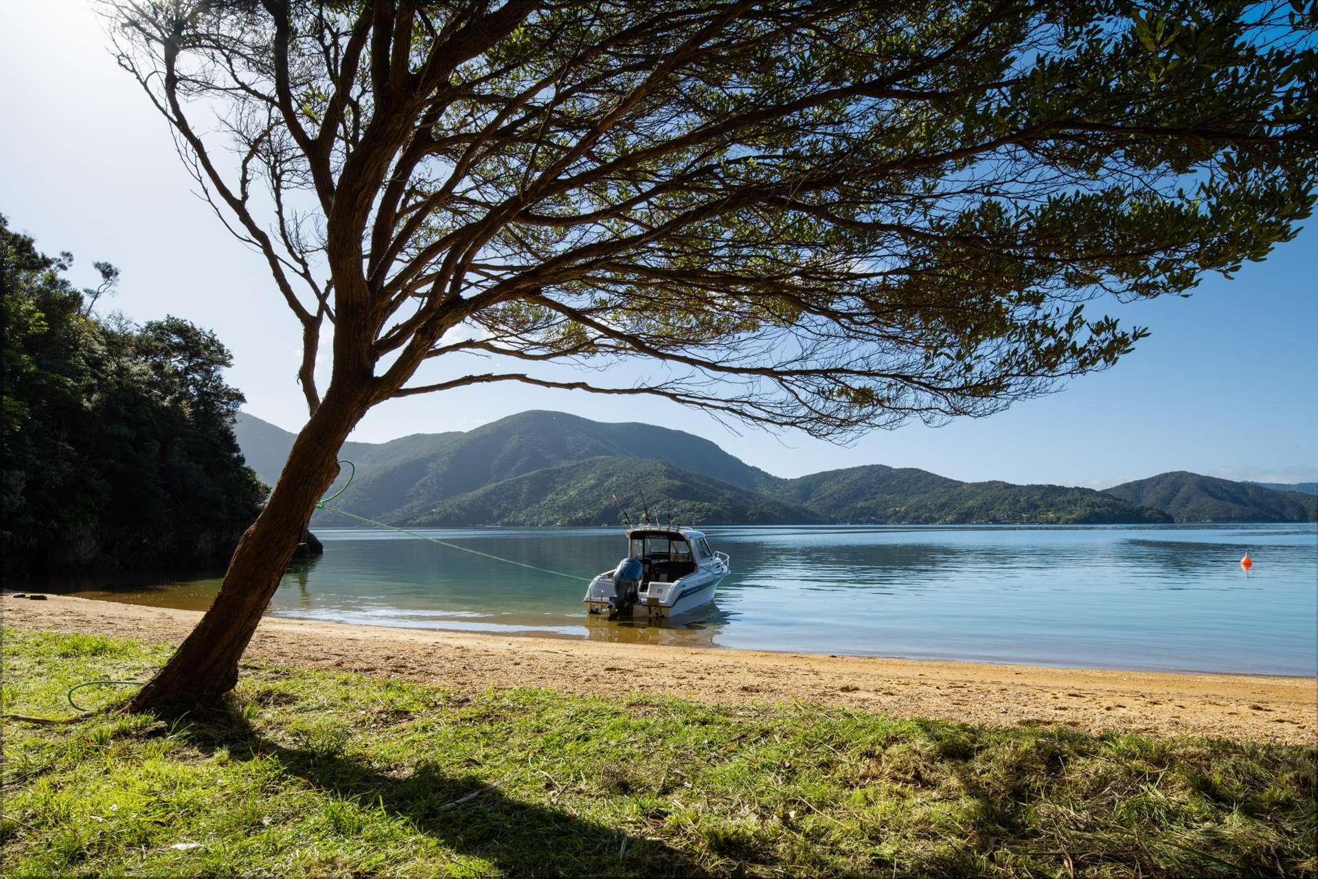 Cherry Bay, Ruakaka Bay Marlborough Sounds_0