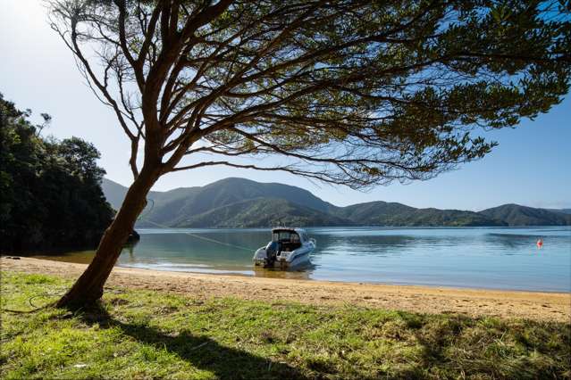 Secluded Beach Front Marlborough Sounds Land