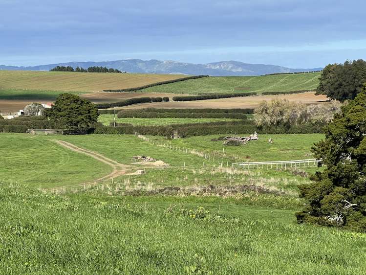 678 Waiuku Road Mauku_15