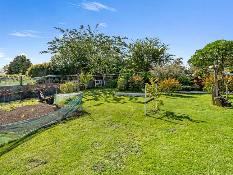 11 Bear Street Waverley_32