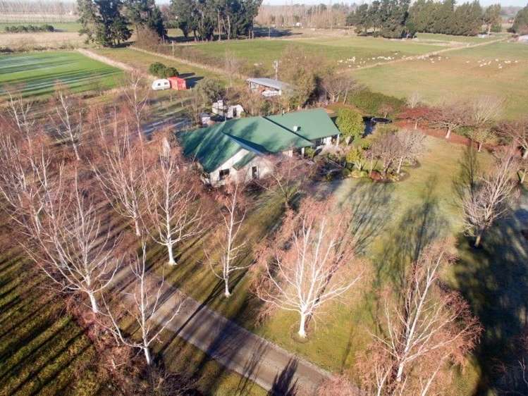 61 Albert Street Netherby_15