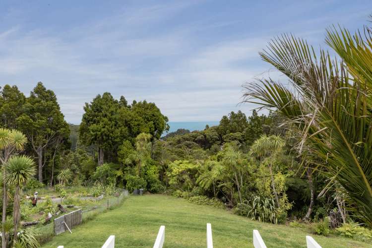 16 La Trobe Track Karekare_30