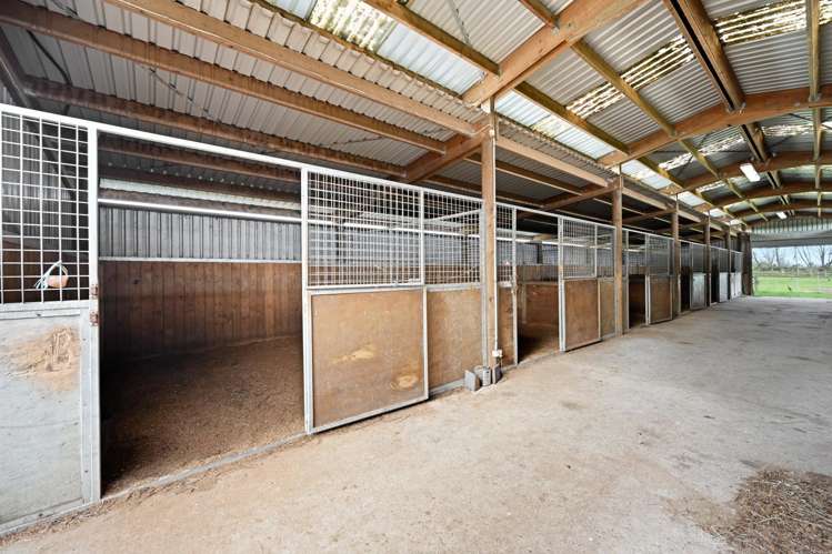 59 Racecourse Road Cambridge_42