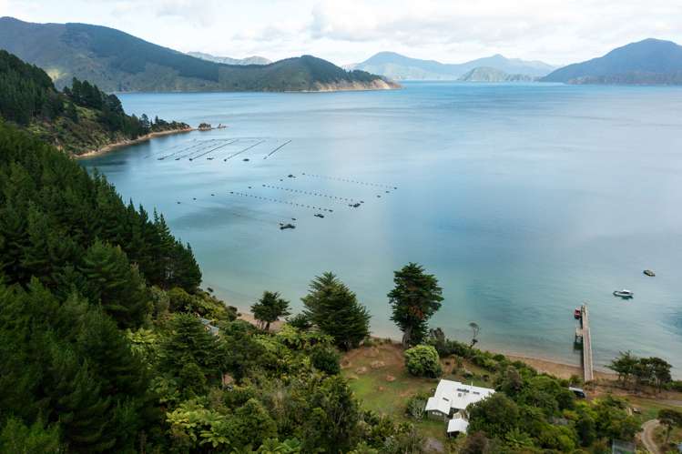 Lot 2 Grant Bay, Manaroa Marlborough Sounds_2