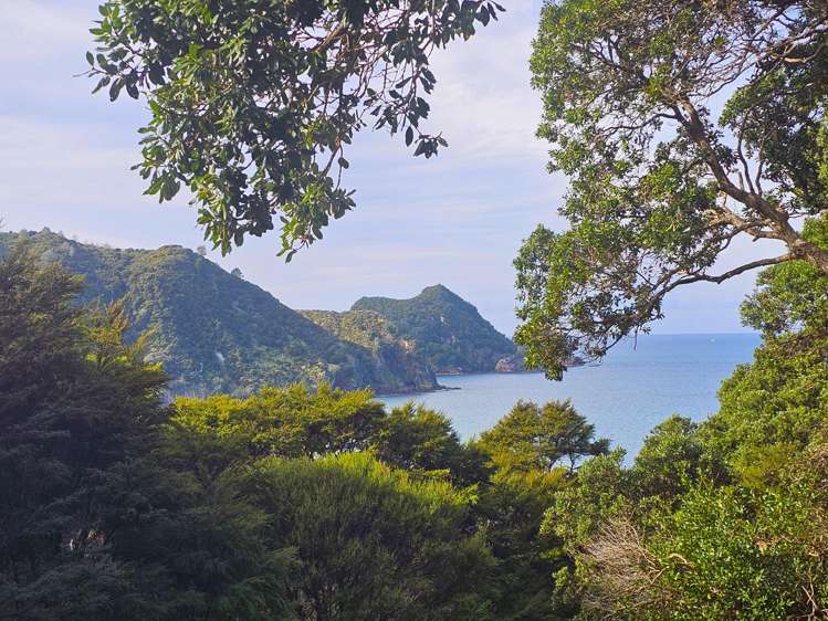 Lot Lot 3/216G Matapaua Bay Road_0