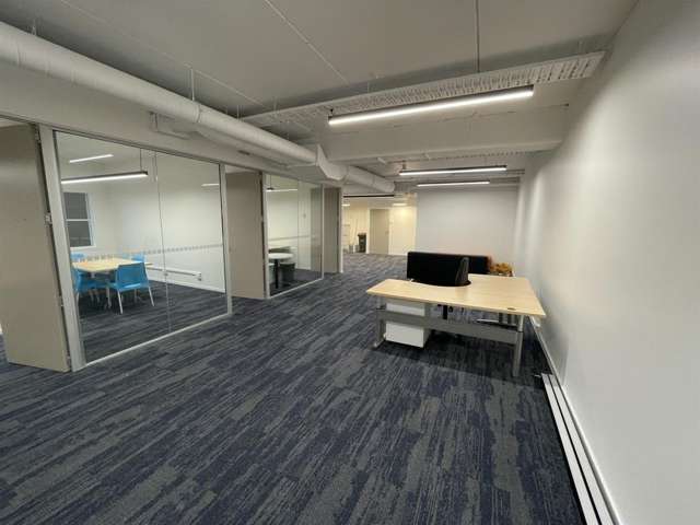 435 Khyber Pass Road Newmarket_3