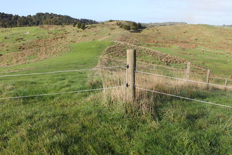 1311 State Highway 12 Maungaturoto_9