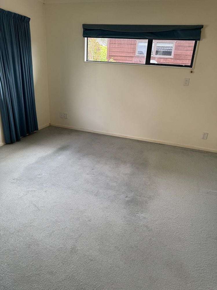 104 Cortina Avenue Johnsonville_12