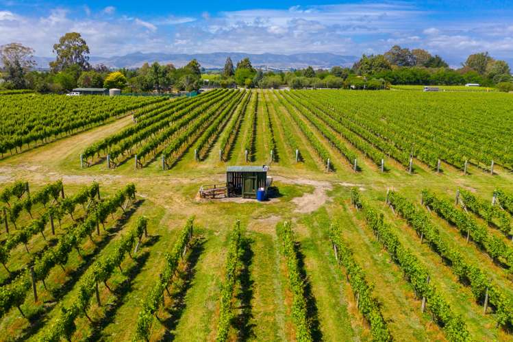 33 Rapaura Road Rapaura_11