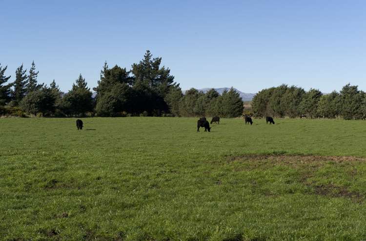 482 Bethels Road Springston_12