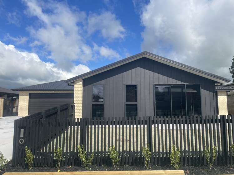Houses for rent in MatamataPiako, Waikato