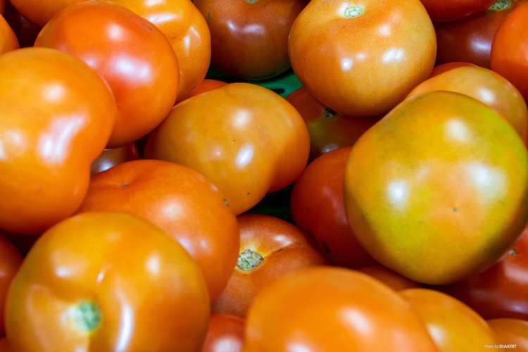 80 Orere-Matingarahi Road Orere Point_18