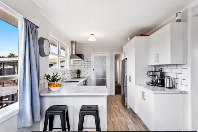 18 Galway Street Tamatea_1