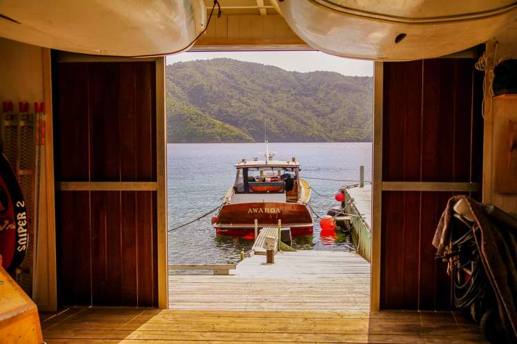 Blackwood Bay Queen Charlotte Sound_35