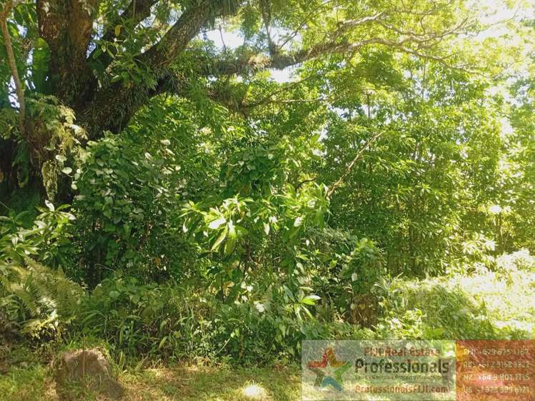 Address withheld Taveuni_6