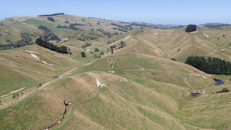 1823 Opaki Kaiparoro Road Mauriceville_12