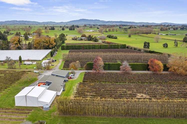 1972 Te Rahu Road Te Awamutu_27