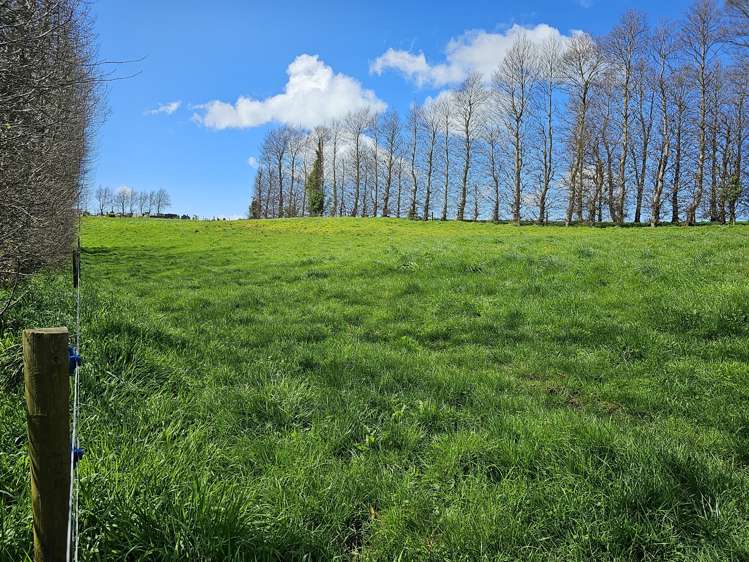 134a Athenree Road Athenree_8